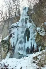 DSCF5194 (2).webp