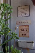 c045.webp