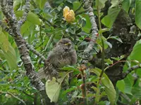 IMG_5954v (2).webp