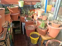 c049.webp