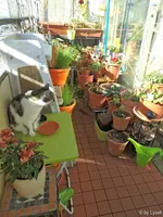 c048.webp