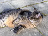 image003.webp