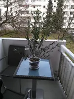 IMG_20180307_162358.webp
