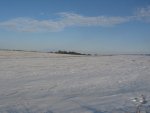 IMG_1313.JPG