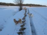 IMG_1324.JPG