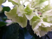 P1030307.webp