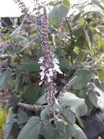 20171030_112318.webp
