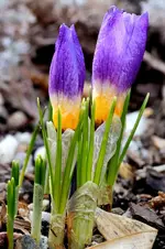 2018-03-18-3289.jpg