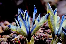 2018-03-18-3290.webp