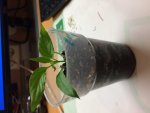 2018-03-10 Becher.jpg
