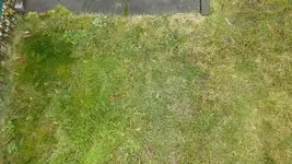 IMG_20180310_113056.jpg