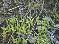 BILD8989.webp