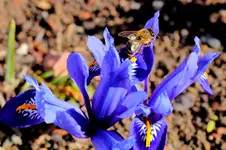 2018-03-11-3309.webp