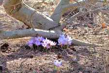 2018-03-11-3312.webp