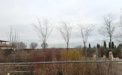 20180310_162151.3.webp