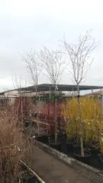 20180310_162110.3.webp