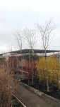 20180310_162110.3.jpg