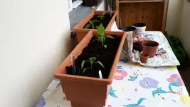20180313_121828.webp