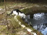BILD8999.webp