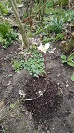 IMG_20180313_164227.webp