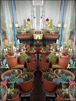 c005.webp