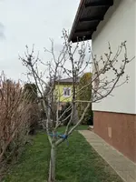 DSC03557.webp DSC03557.webp