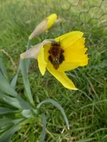 P1090170.webp