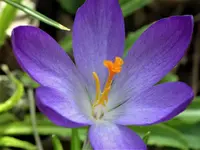 image006.webp