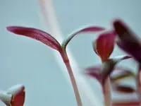 image010.webp