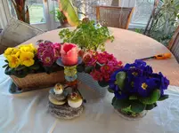 DSC02622.webp