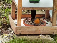 DSCF0859 (2).webp