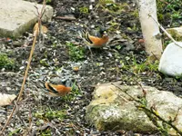 DSCF0862 (2).webp