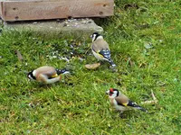 DSCF0849 (2).webp
