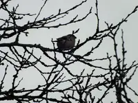 DSCF0866 (2).webp