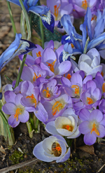 DSC_0946.webp