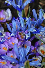 DSC_0948.webp