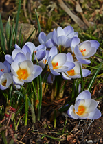 DSC_0960.webp