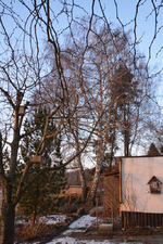 DSC_0865.JPG