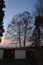 DSC_0868.webp