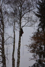 DSC_0883.webp