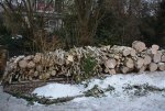 DSC_0936.JPG