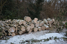 DSC_0937.JPG