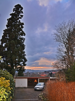 DSC_0944.webp