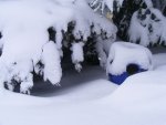 Schnee am 17.März.jpg
