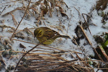 DSC_0966.webp