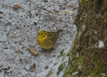 DSC_0968.webp