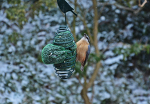 DSC_0977.webp