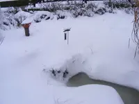 Teich.jpg