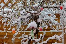 2018-03-17-3354.webp