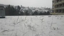 20180318_084313.webp
